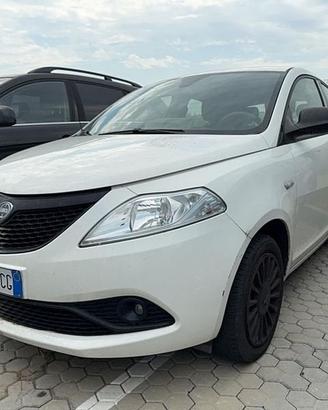 Lancia Ypsilon 1.2 69cv Start& Stop Elefantin...