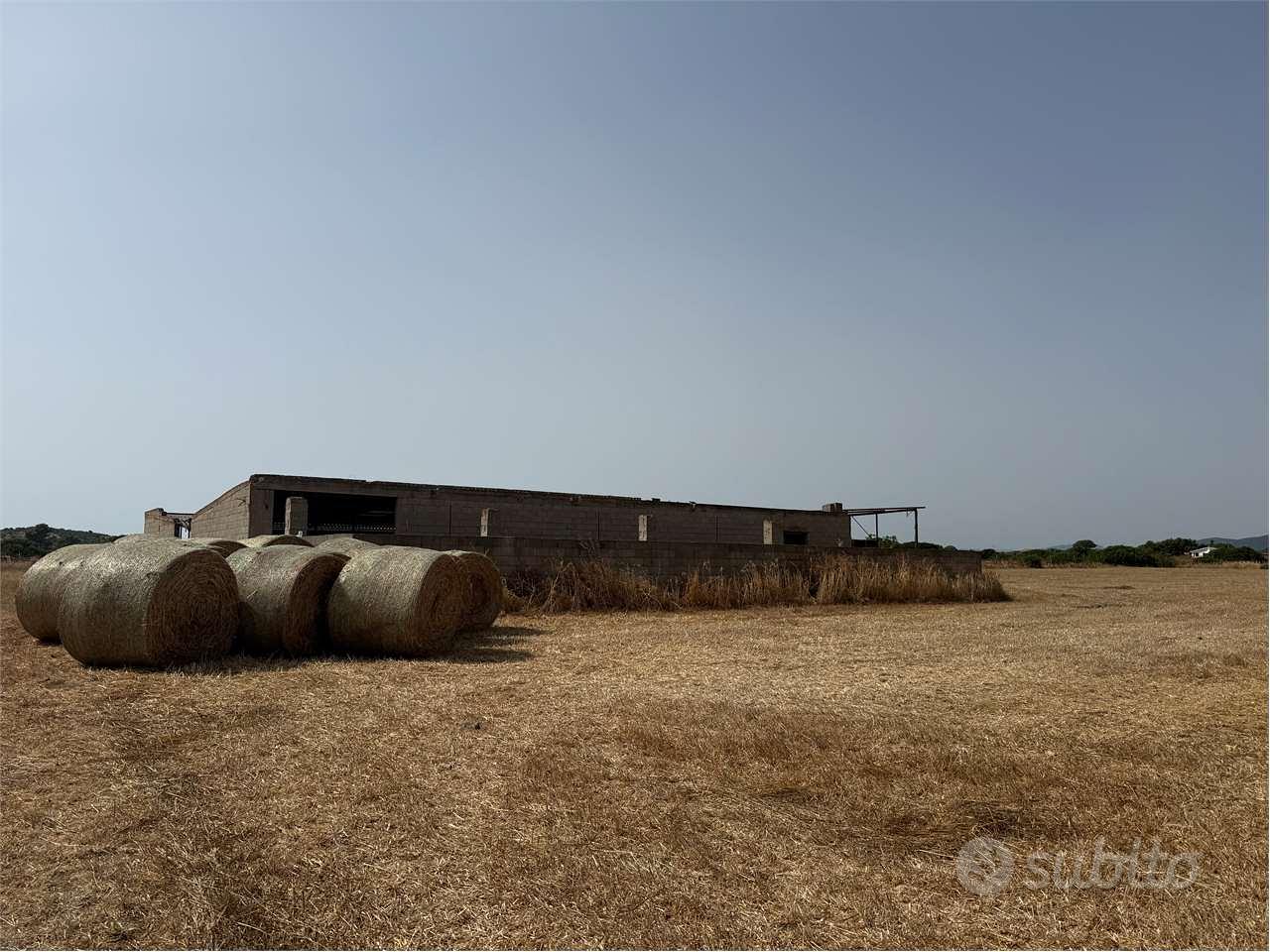 Stalla di 500 mq con 1 ettaro di terreno a pochi m - Vista 2