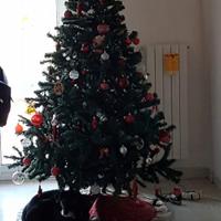Albero di Natale 