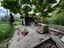Immagine 26