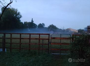 Fence e steccati  modulari per recinti cavalli