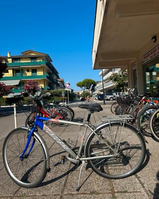 City bike da uomo in alluminio