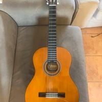 Chitarra classica e custodia