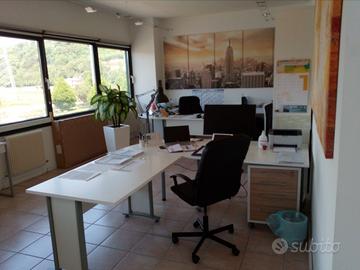 Condivido ufficio attrezzato co working