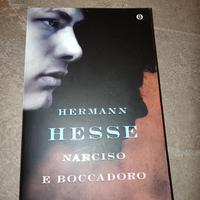 Herman Hesse narciso e boccadoro