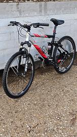 Bottecchia biammortizzata 