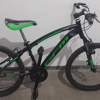 Bicicletta