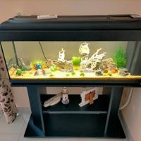 Acquario 120 LT