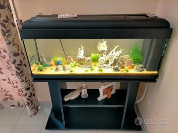 Acquario 120 LT