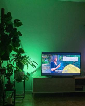 Smart TV Samsung 48" 4K Ultra HD (DVB-T2)