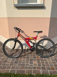 mountain bike