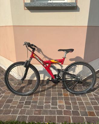 mountain bike