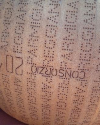 forma formaggio facsimile 
