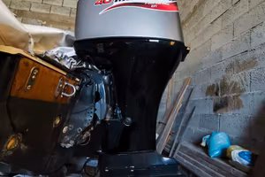 Mercury / Mariner 40 / 60 CV ELPT EFI