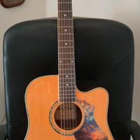 chitarra HB. 12 corde, elettrificata.