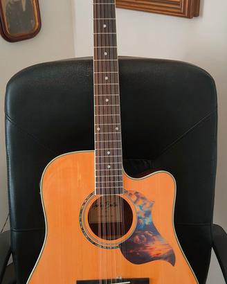 chitarra HB. 12 corde, elettrificata.