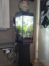 Hexa 60 teca per piante