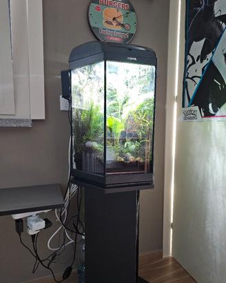 Hexa 60 teca per piante