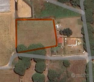 Terreno agricolo consorzio "le rose"