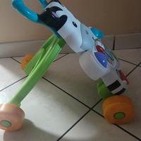 Primi passi zebra
