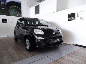 FIAT Panda 3ª serie - Panda 1.0 FireFly S&S Hybrid