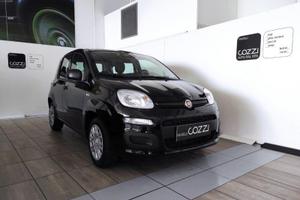 FIAT Panda 3ª serie - Panda 1.0 FireFly S&S Hybrid