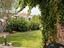 Immagine 29