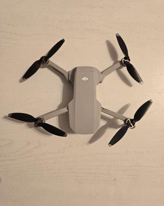Mavic Mini Combo Fly More USATO