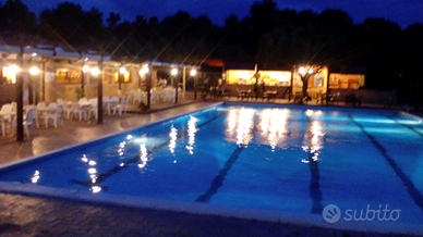 Estate 2026 appartamento in villaggio