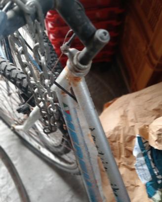 bici da donna