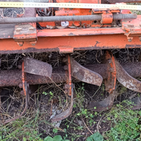 Fresa trattore Maschio TYPE È