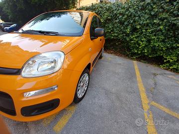 FIAT Panda 3ª serie - 2017