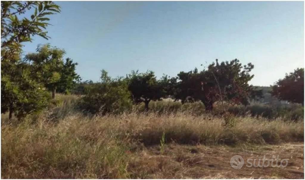 Immobile in asta di 5430 m² a Luzzi - Vista 4
