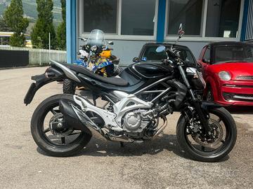 Suzuki gladius 
