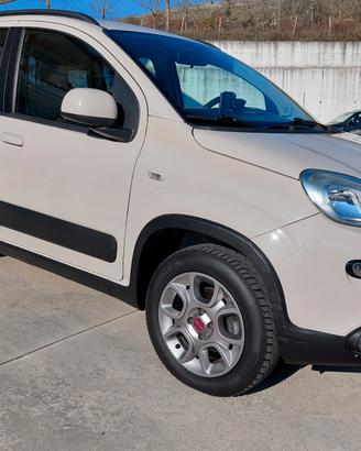 Fiat Panda 1.3 MJT S&S 4x4-ELD Antartica