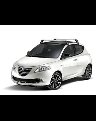 Barre portapacchi traversali tetto Lancia Y