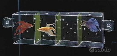 Bettiere 2 e 4 posti per acquario