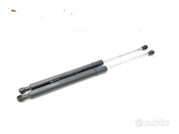 PISTONCINI COFANO POST. RENAULT Clio Serie 8200299