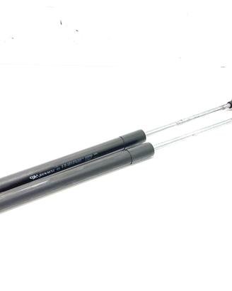 PISTONCINI COFANO POST. RENAULT Clio Serie 8200299