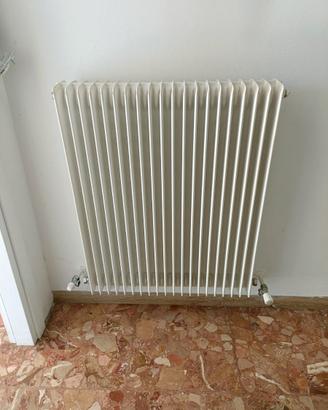 Termosifone Radiatore Acciaio Tubolare Bianco