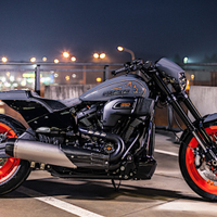 Harley-Davidson fxdr special "unbroken"