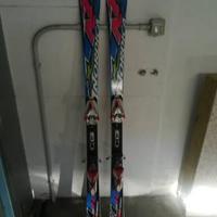 sci Doberman wc 156 cm SL