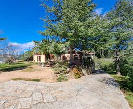 Arzachena villa immersa nel verde vendita