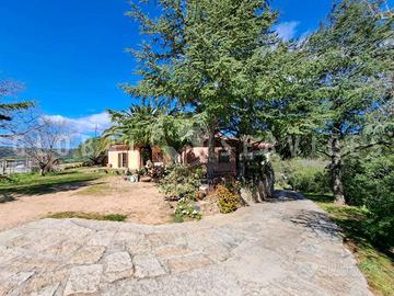 Arzachena villa immersa nel verde vendita