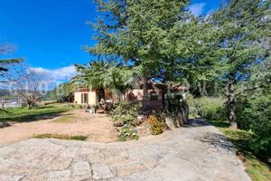 Arzachena villa immersa nel verde vendita