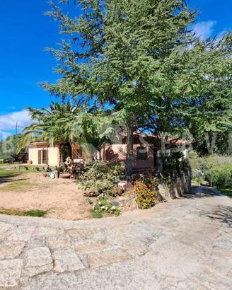 Arzachena villa immersa nel verde vendita