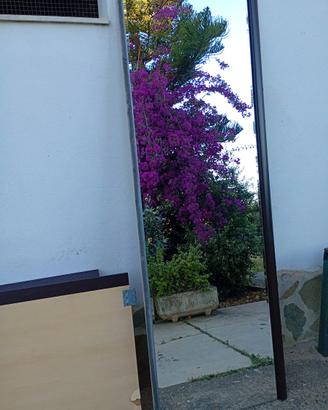 Specchi di grandi dimensioni x 3