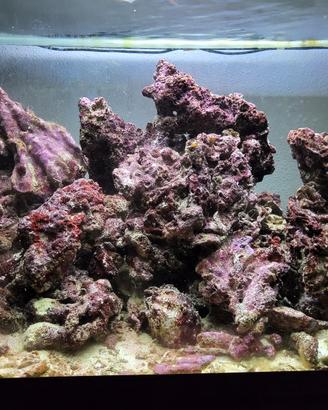 Rocce vive delle Fiji