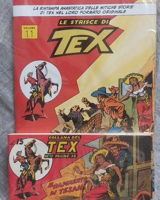 STRISCE DI TEX N.11