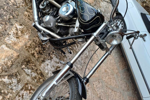 Harley Davidson shovel 77